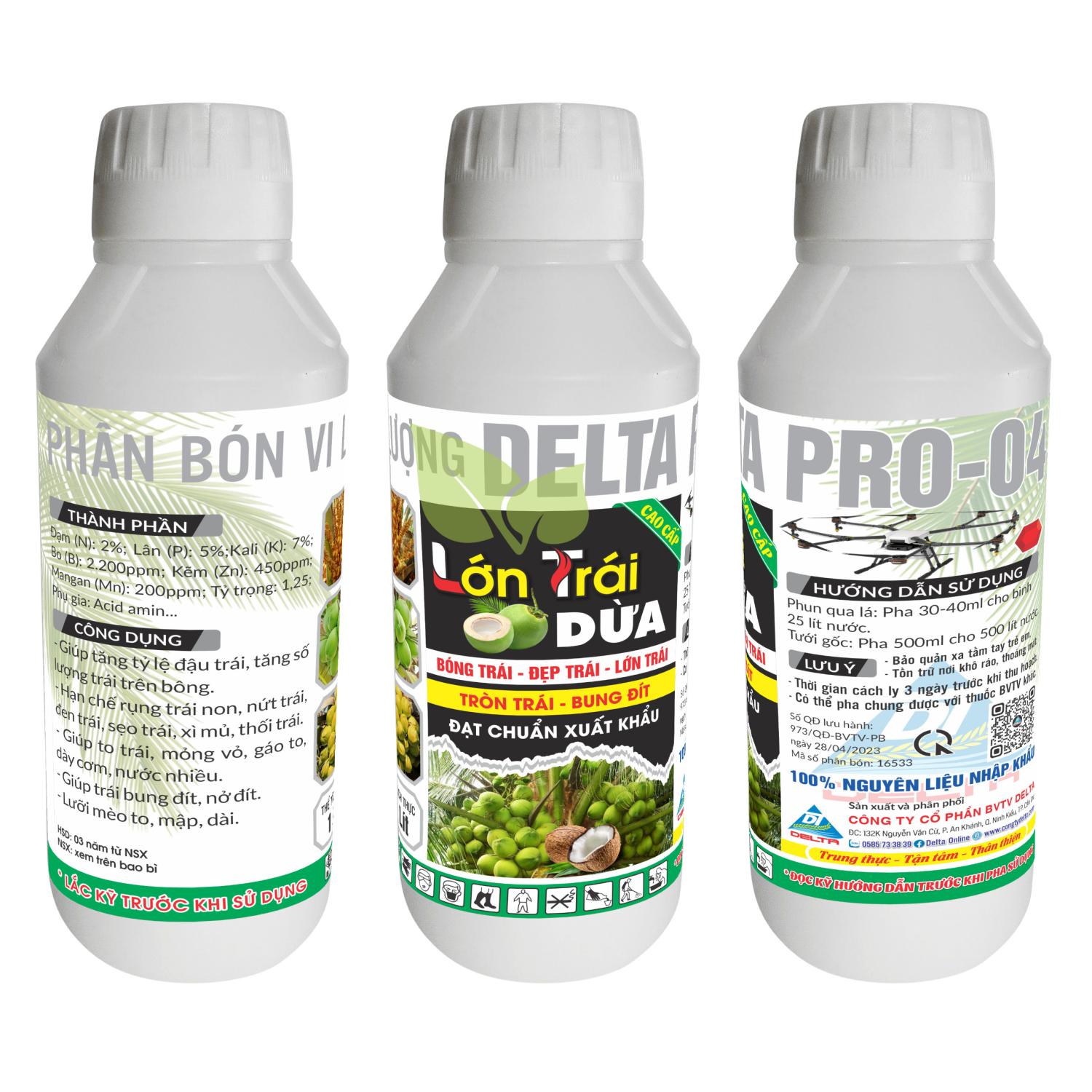 LỚN TRÁI DỪA